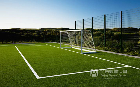 免填充足球場草坪