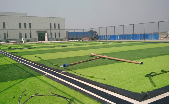 足球場(chǎng)草皮鋪設(shè)