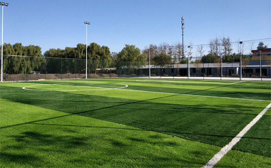 人造草足球場(chǎng)圖片