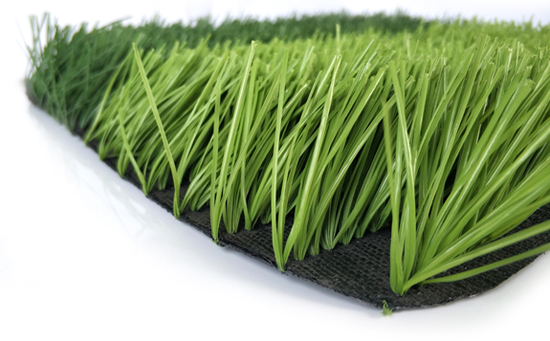 w型足球場(chǎng)草坪圖片